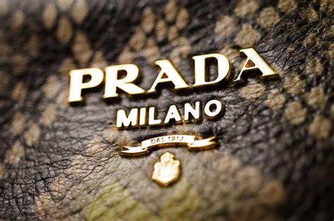 prada life programm|prada history.